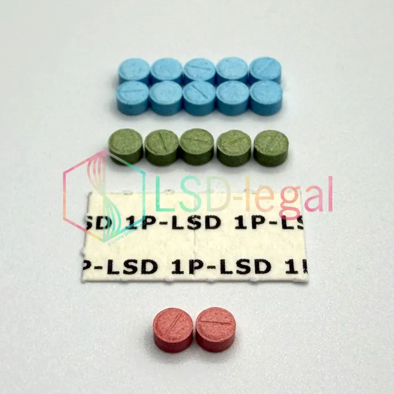 All in One 1P